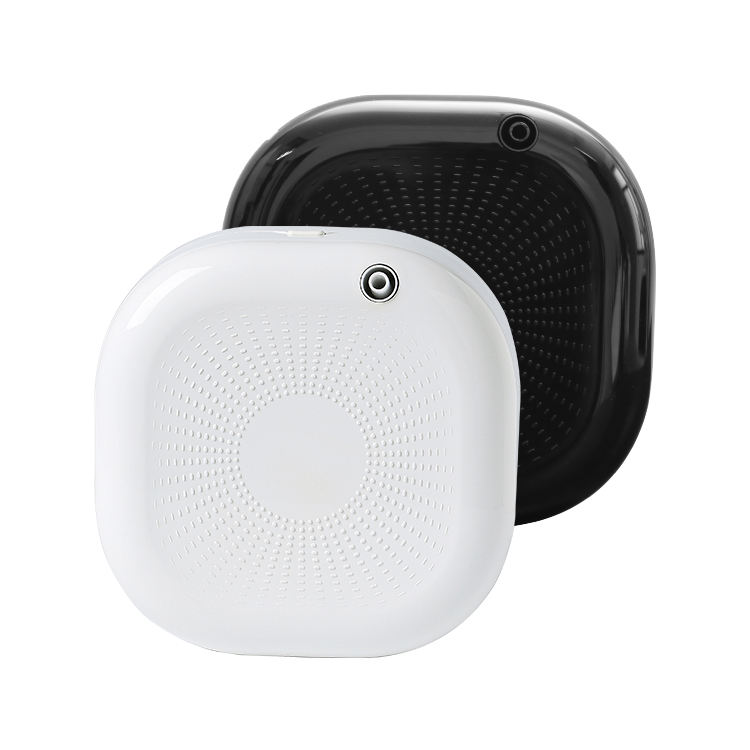 Wall Mounted Diffuser
