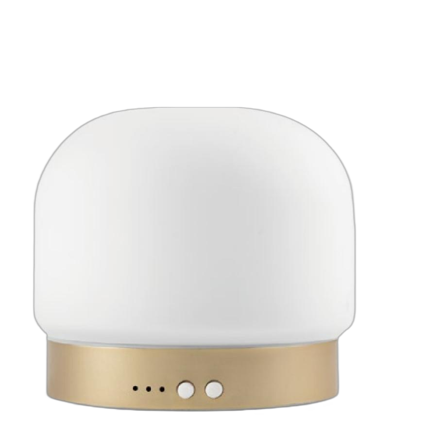 Glass Aroma Diffuser
