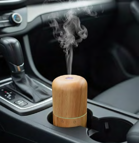 Solid wood + Glass Diffuser