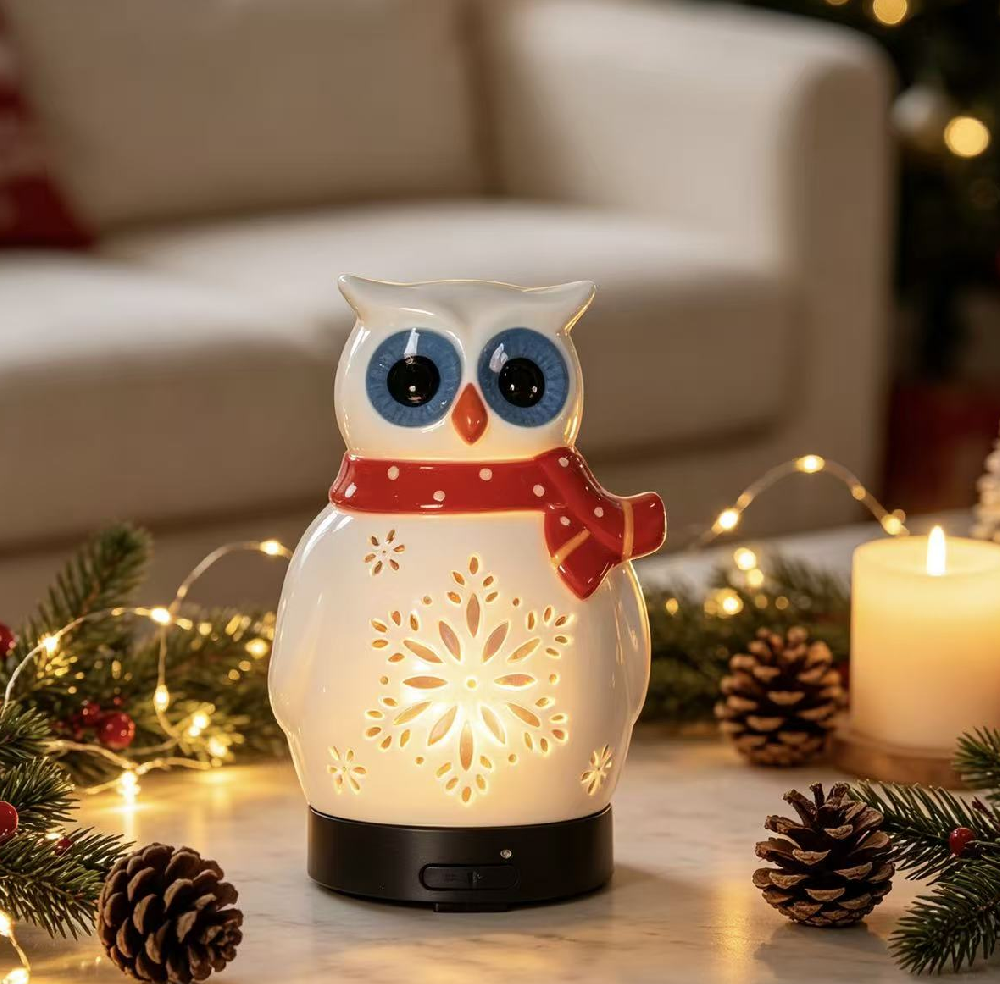 Aroma Humidifier