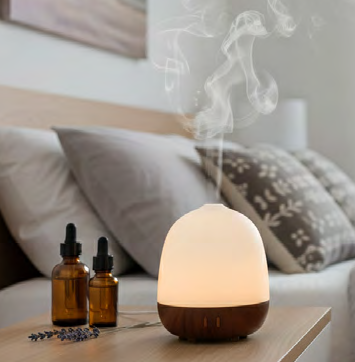 Acorn Aroma Diffuser